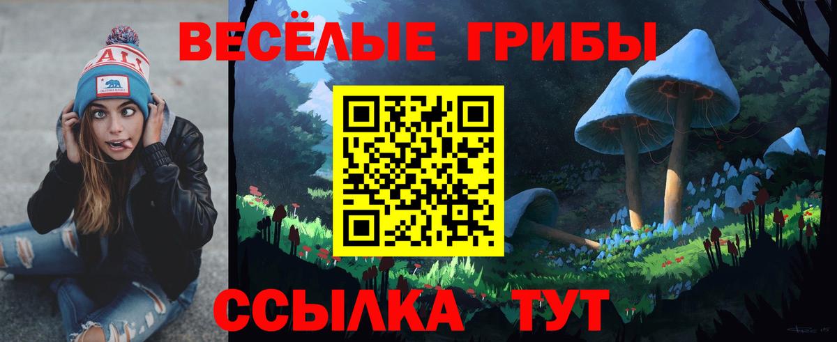 Псилоцибиновые грибы Psilocybine cubensis Каменск-Шахтинский